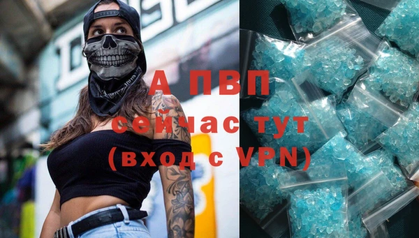 спайс Баксан
