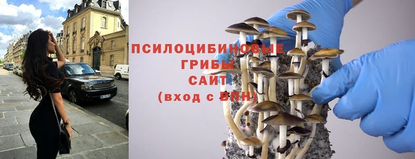 спайс Баксан