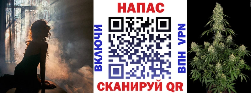 сколько стоит  Щёкино  мега ТОР  Каннабис AK-47 